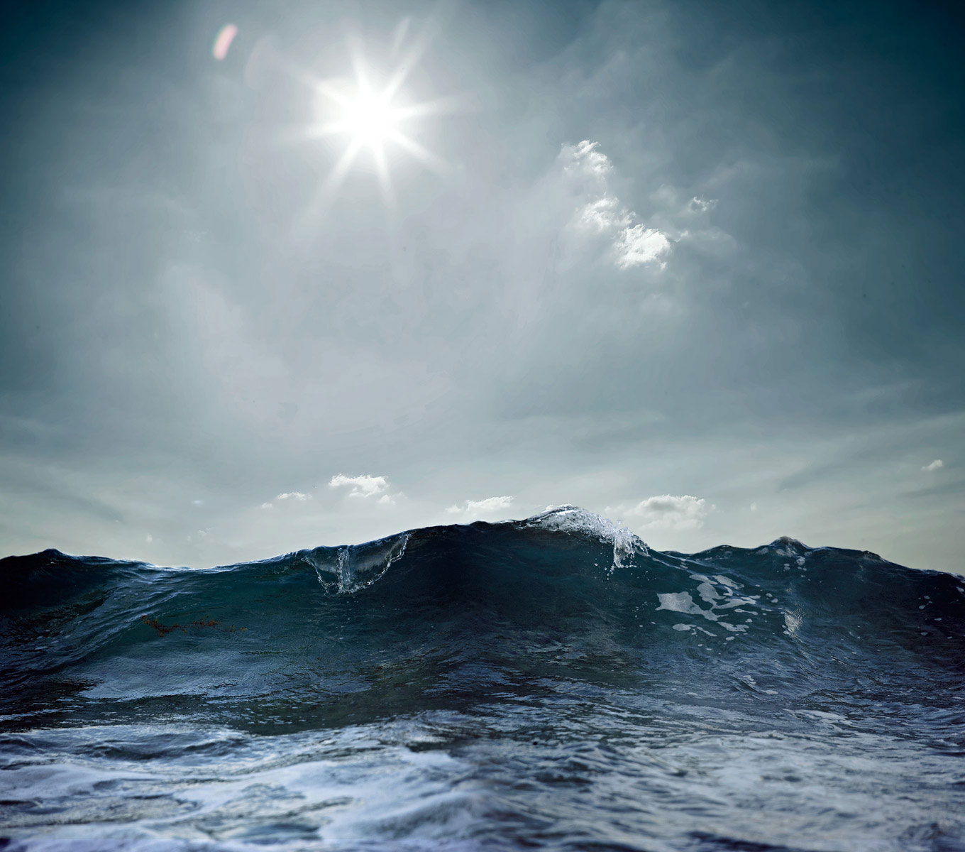 JapanWave, kerry shaw